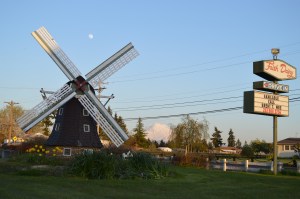 DSC_0175