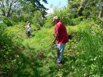 Trail clearing Kapowsin
