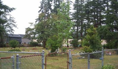 CEM46805919_118507796265