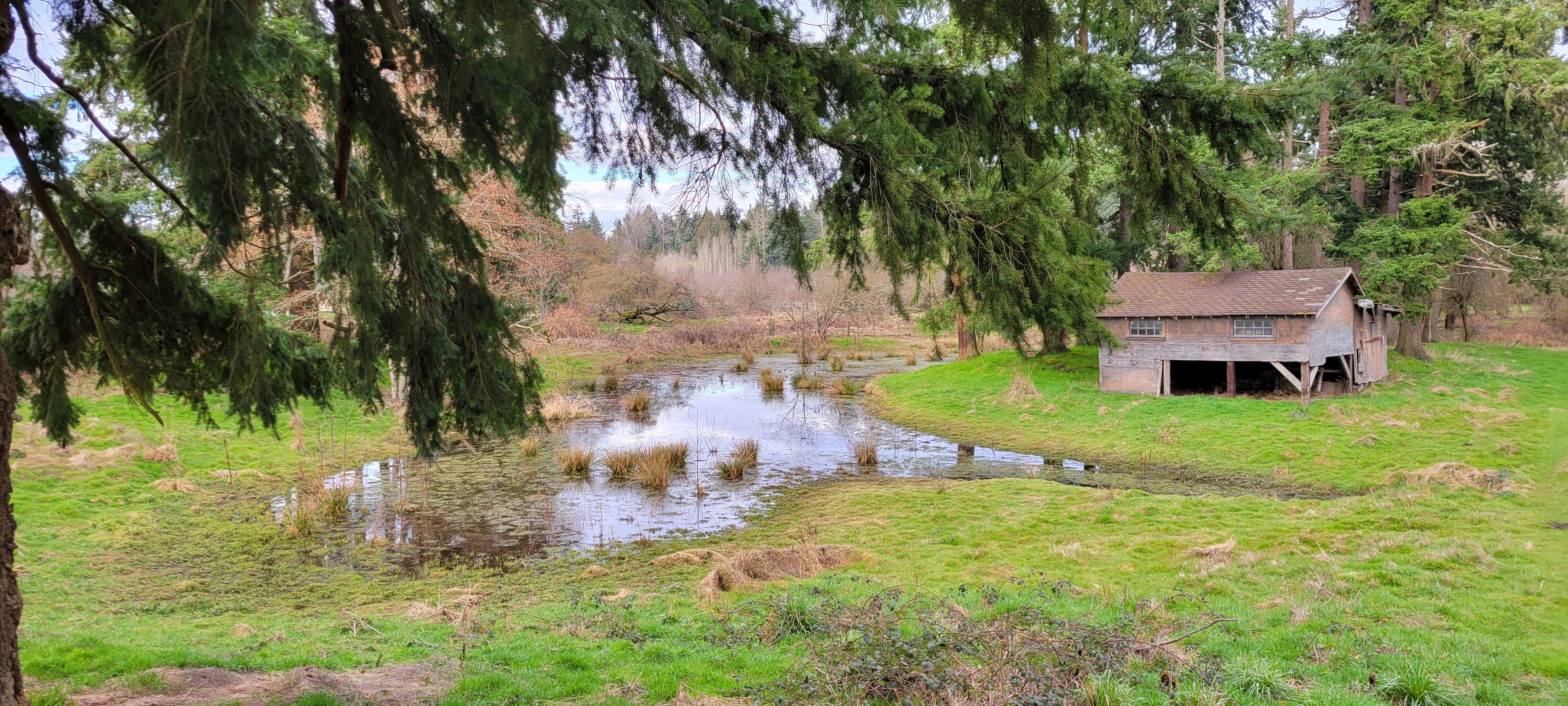 Pond ahead of culvert