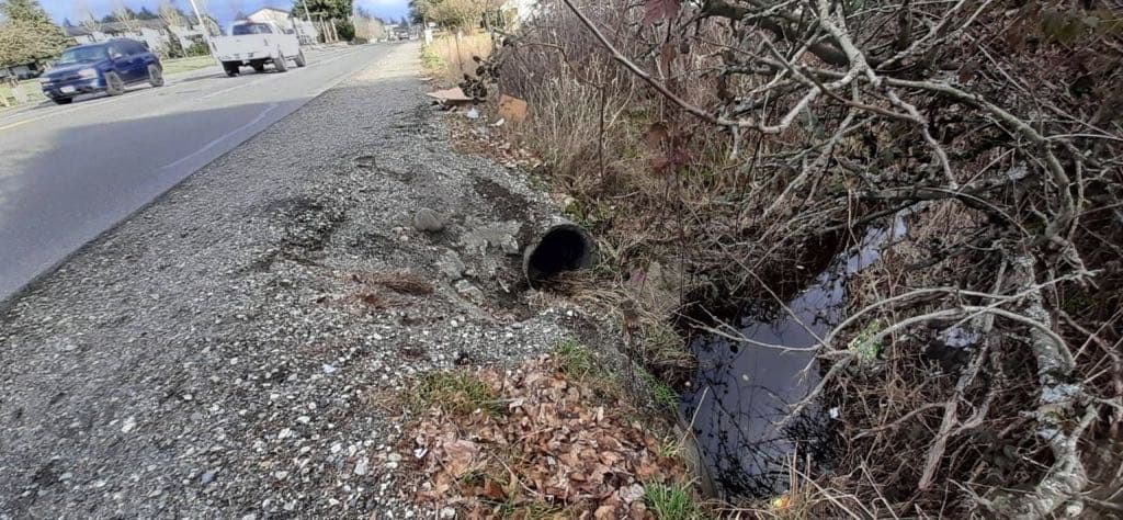 Surface water along 112th Street carries pollutants such as oil, gas, and 6PPD chemicals from cars and tires flow into Clover Creek. Implementing filters in our drainage systems is a crucial component in the enhancement of water quality.