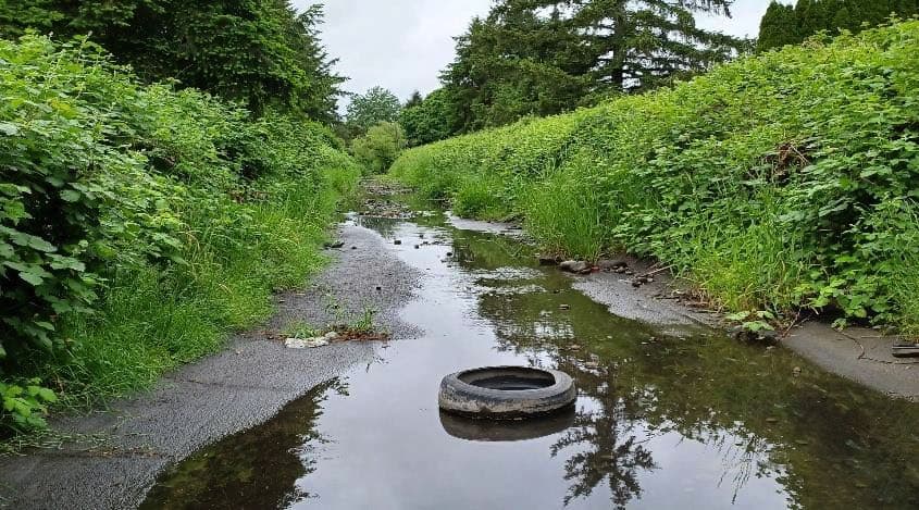 The most effective method for replenishing multiple aquifers, in Parkland is to eliminate the asphalt layer from the creek bed.